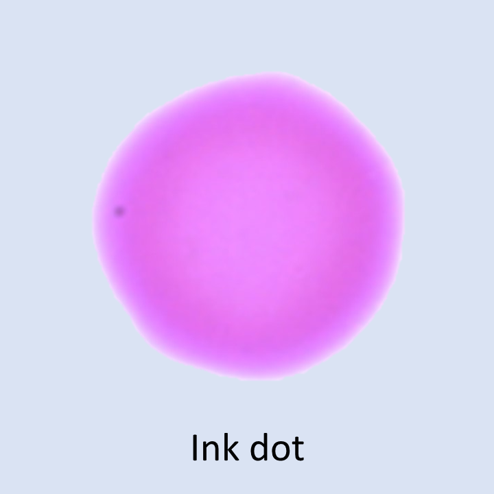 ホログラフィック顕微鏡